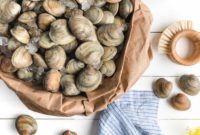 Your Ultimate Guide to Perfect Clams