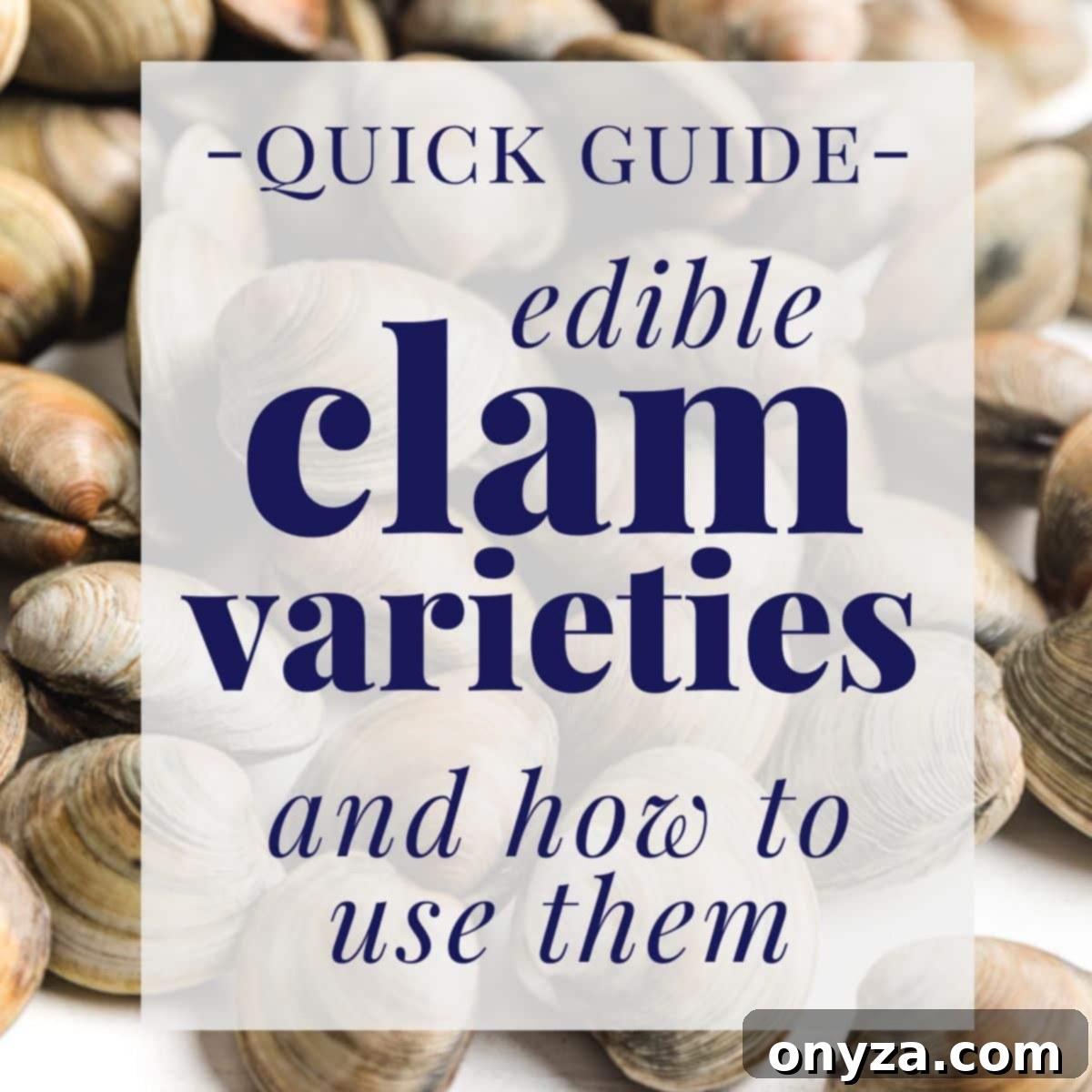 Edible Clam Varieties 1 featured 13167