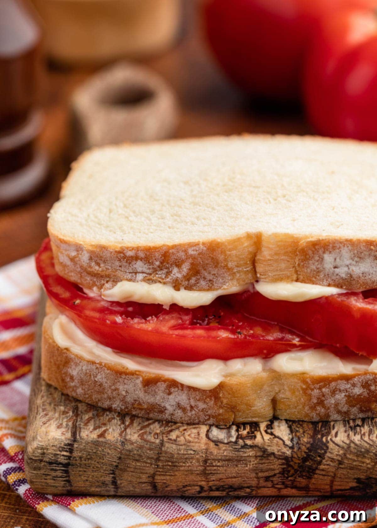 Sun-Kissed Southern Tomato Sandwich 1 featured 21060