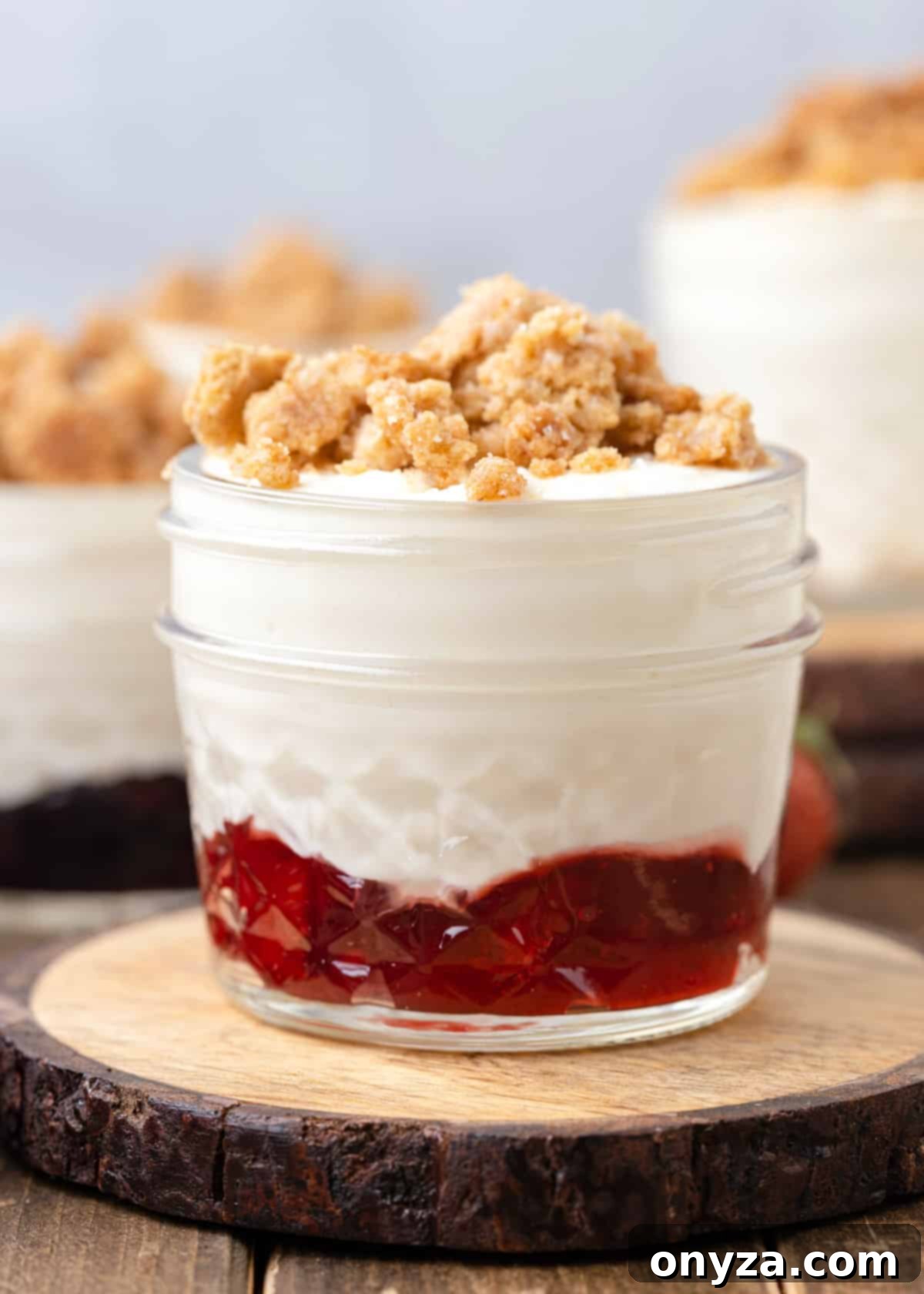 No-Bake Graham Cheesecake Delights 1 featured 21300