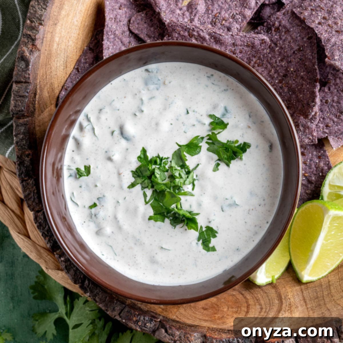 Southwestern Green Chile Cilantro Dip 1 featured 29568