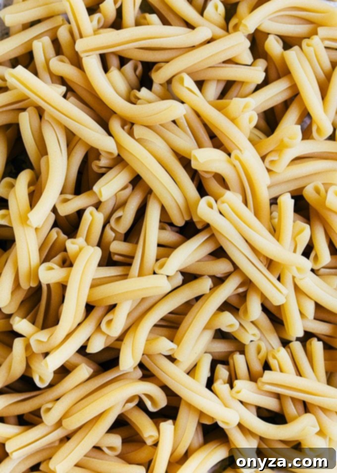 This Sun-Dried Tomato Pasta Salad recipe with sun-dried tomato vinaigrette, artichoke hearts, and Pecorino Romano cheese is easy to make and delicious! Perfect for a summer side dish or meatless dinner! #pasta #salad #pastasalad #sundriedtomatoes #vegetarian #easyrecipe dried casarecce pasta