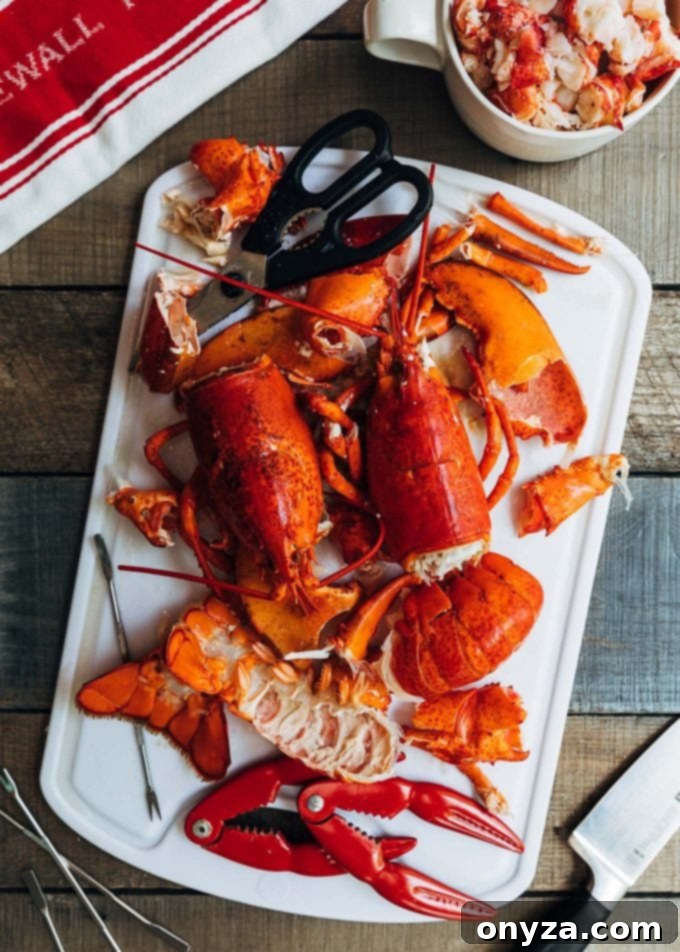 Hands carefully breaking down cooked whole lobsters, showing the process of extracting the fresh, tender meat for use in a delicious lobster roll recipe.