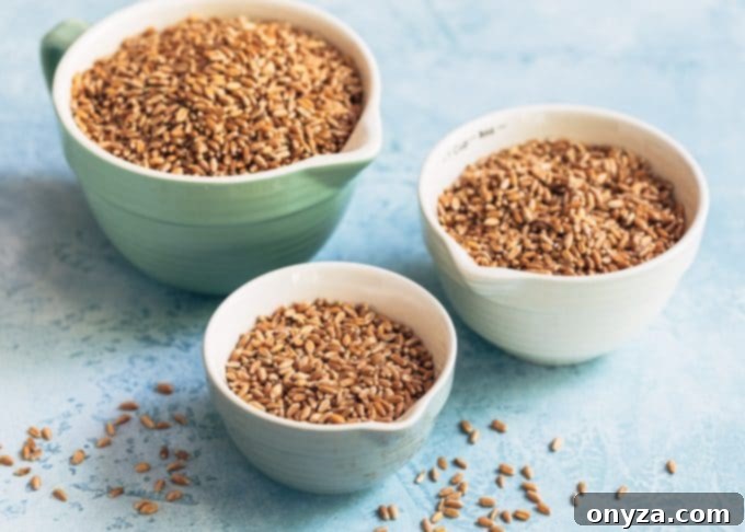Close-up of cooked wheat berries, showing their whole grain texture