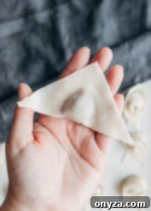 wonton wrapper folded in half diagonally