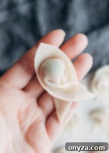 wonton wrapper with tails folded over each other