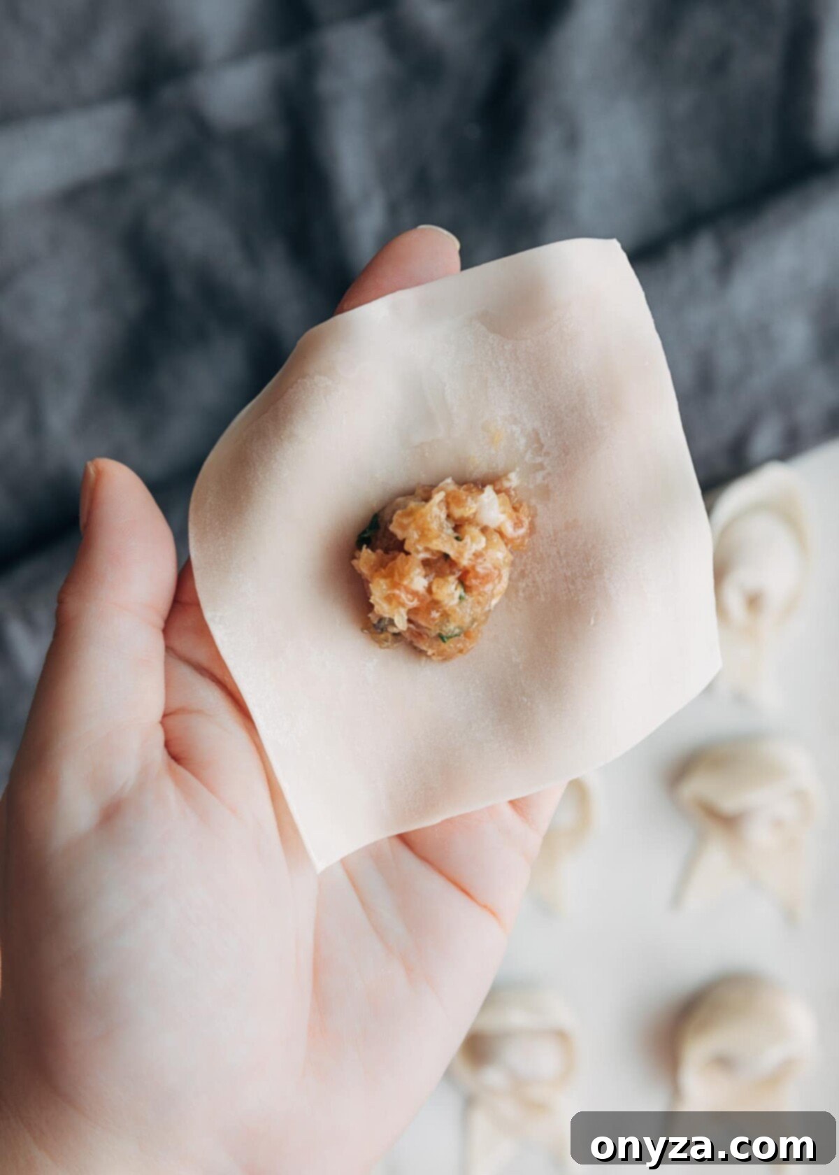 wonton wrapper with a scoop of pork and shrimp filling