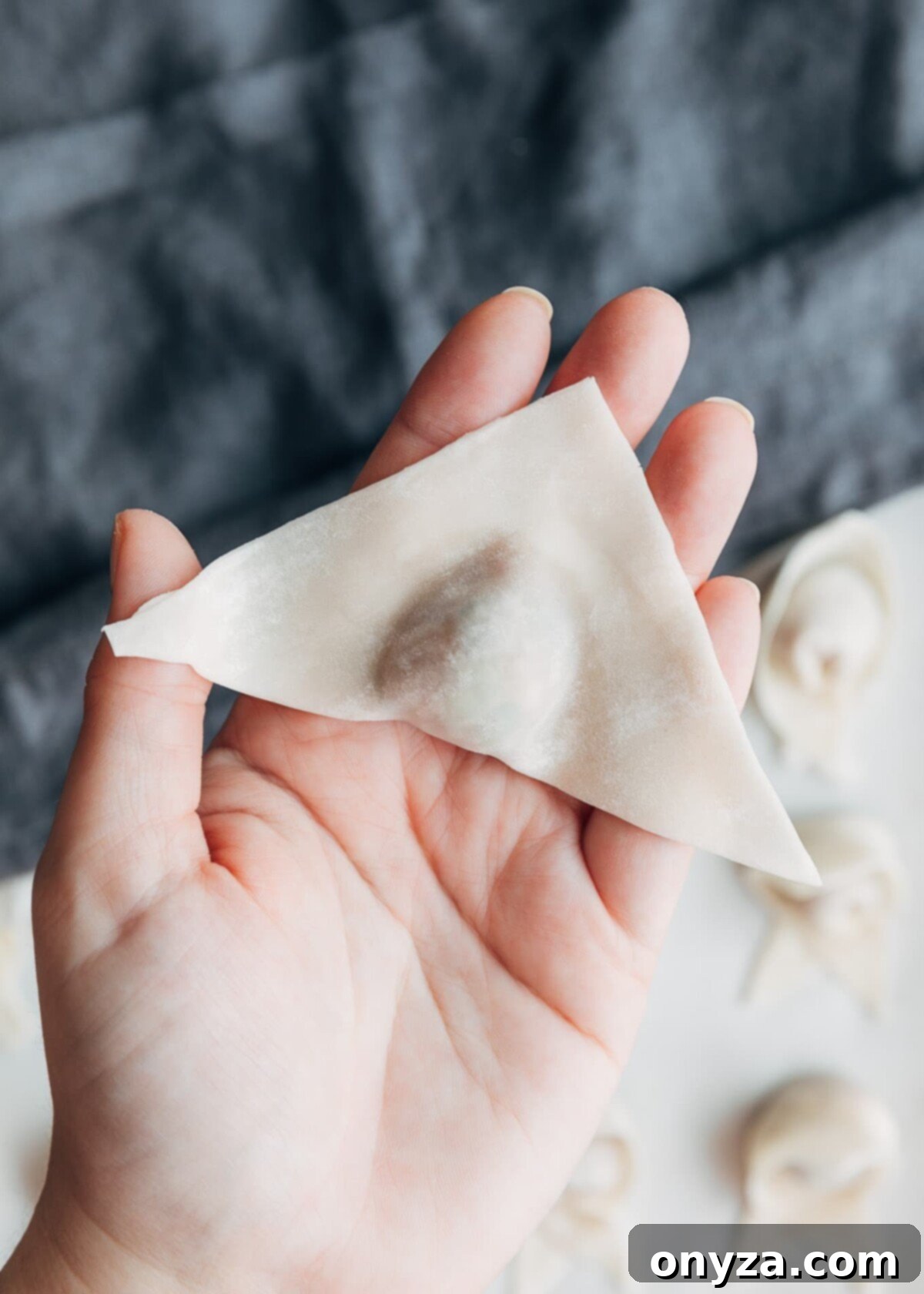 wonton wrapper folded in half diagonally