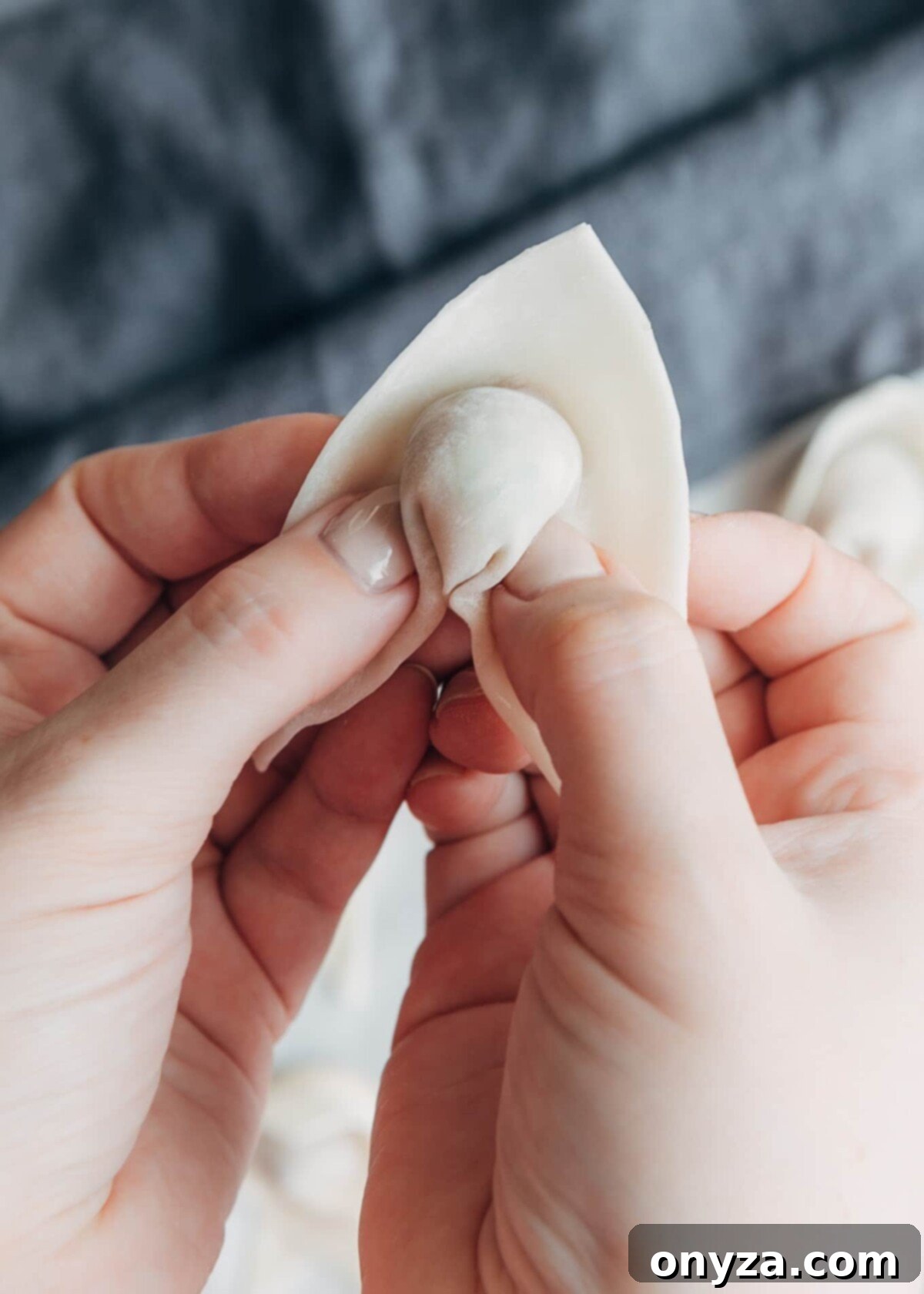 wonton wrapper with middle cinched around filling