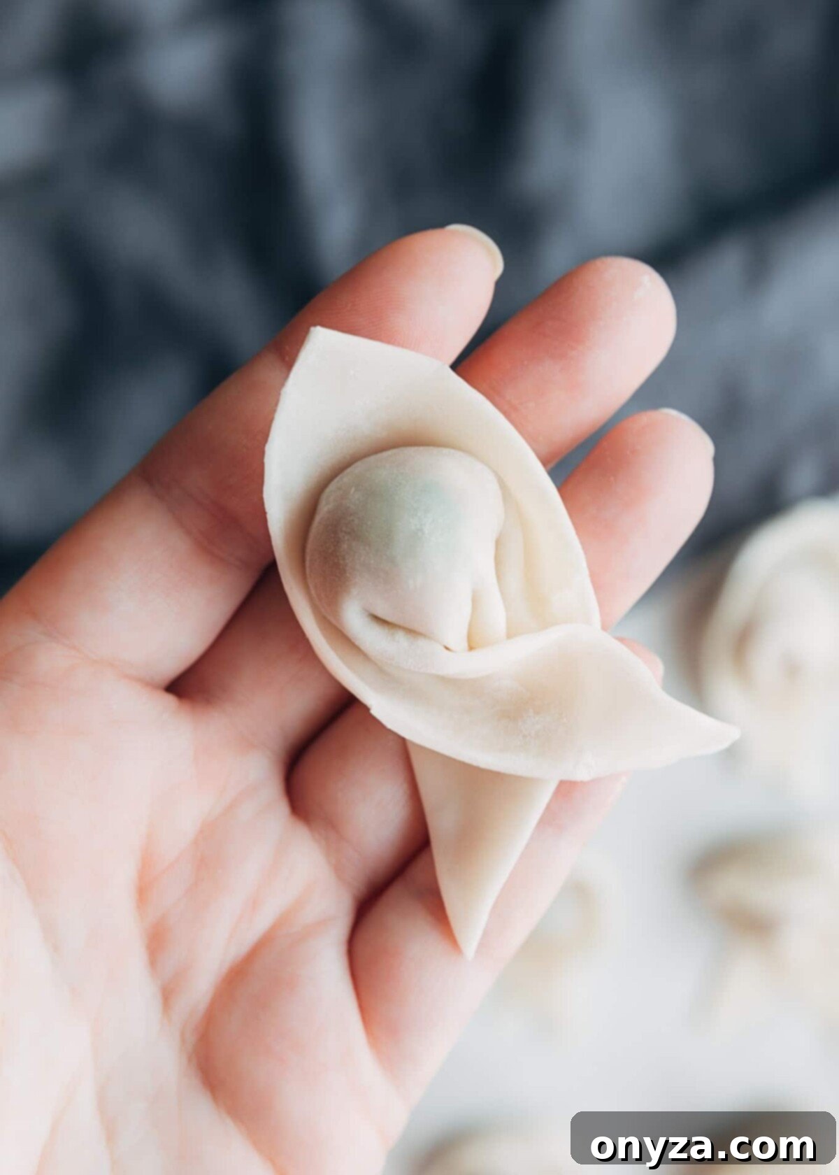 wonton wrapper with tails folded over each other