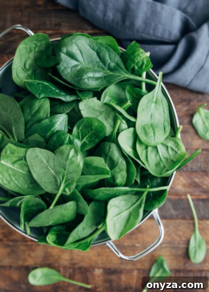 Fresh baby spinach leaves in a white colander, ready for preparation.