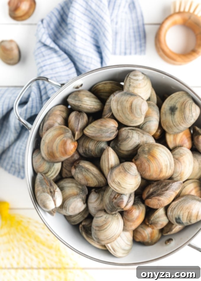 littleneck clams in a white colander with a scrub brush