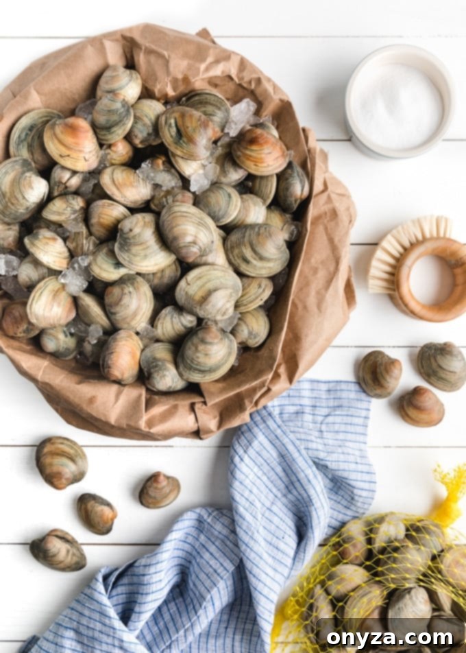 Your Ultimate Guide to Perfect Clams 2 Fresh clams on ice in a paper bag, ready for purchase