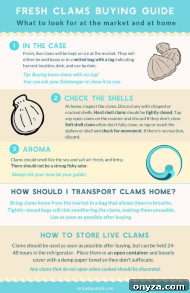 Your Ultimate Guide to Perfect Clams 3 Infographic detailing how to buy and store clams
