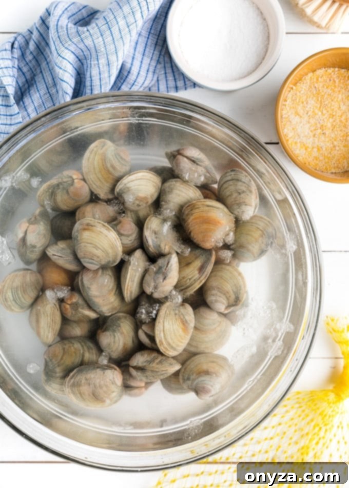 Your Ultimate Guide to Perfect Clams 5 Littleneck clams soaking in a bowl of saltwater