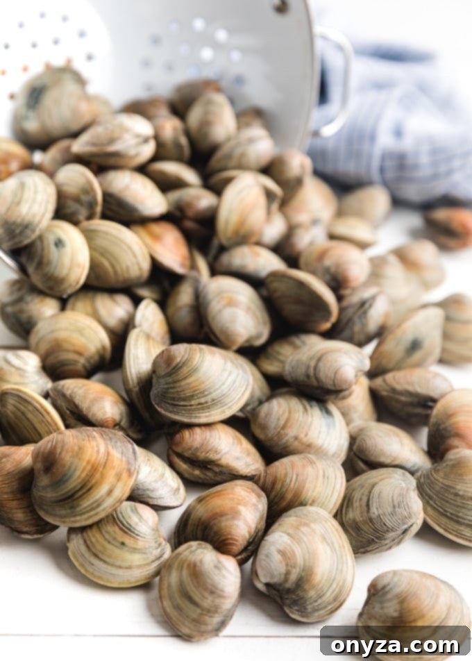 Close-up of fresh, raw littleneck clams neatly arranged on a wooden board next to a colander.