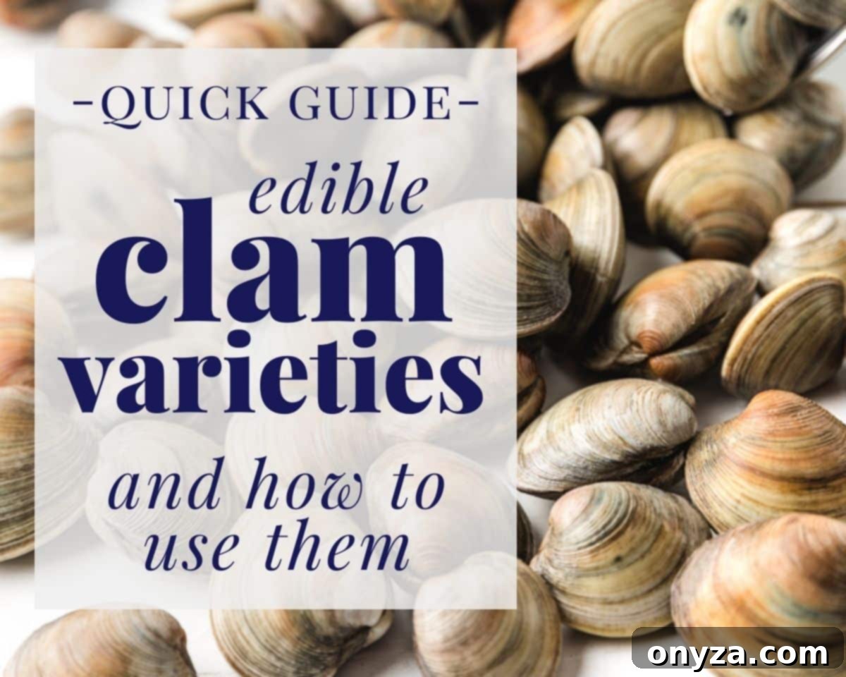 Edible Clam Varieties 2 background photo of fresh littleneck clams with text overlay that reads "quick guide - edible clam varieties and how to use them"