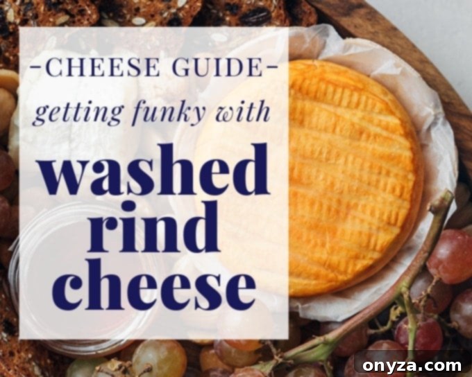 A guide to washed rind cheeses featuring a brandy-washed round on a dark surface