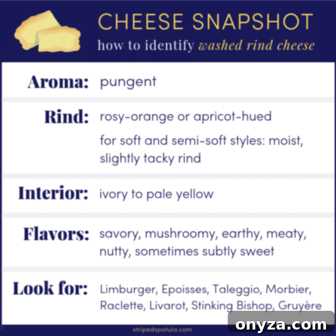 An array of washed rind cheeses, showcasing diverse textures and colors, on a wooden board