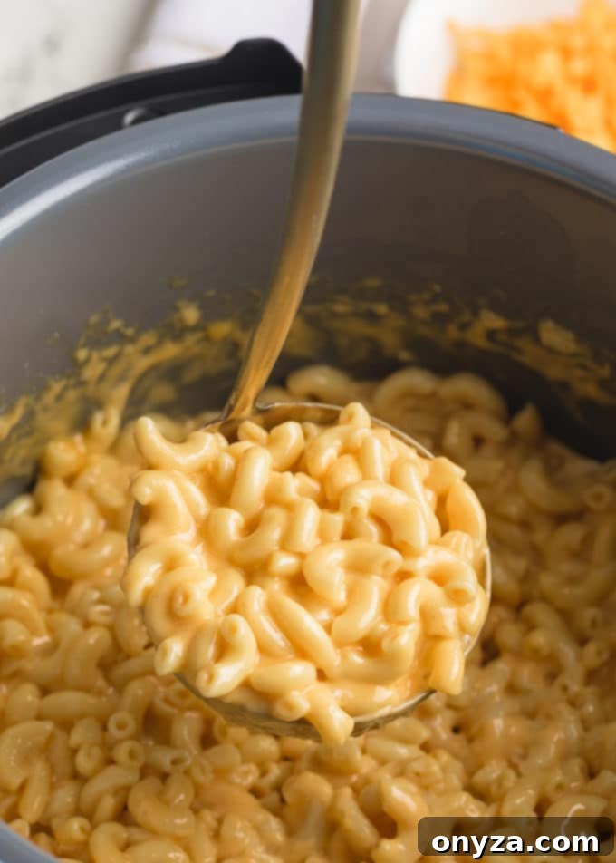 Instant Pot Mac and Cheese Four Irresistible Styles 8 ladleful of creamy mac and cheese in an instant pot