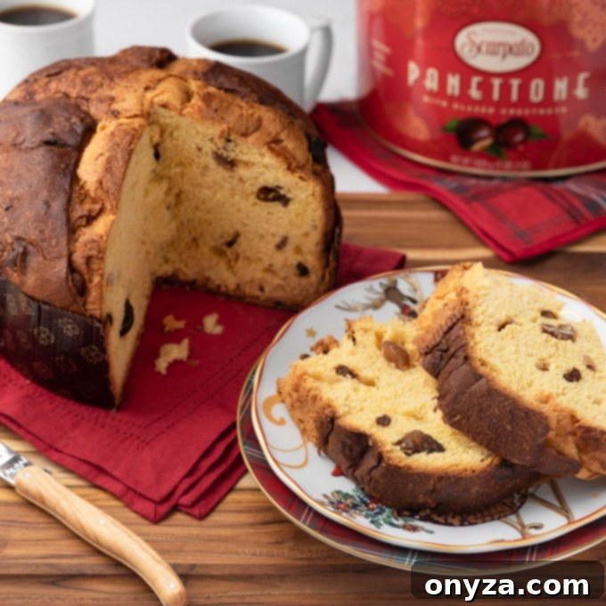 A rich, festive Pasticceria Scarpato panettone, adorned with plump raisins and glazed chestnuts.