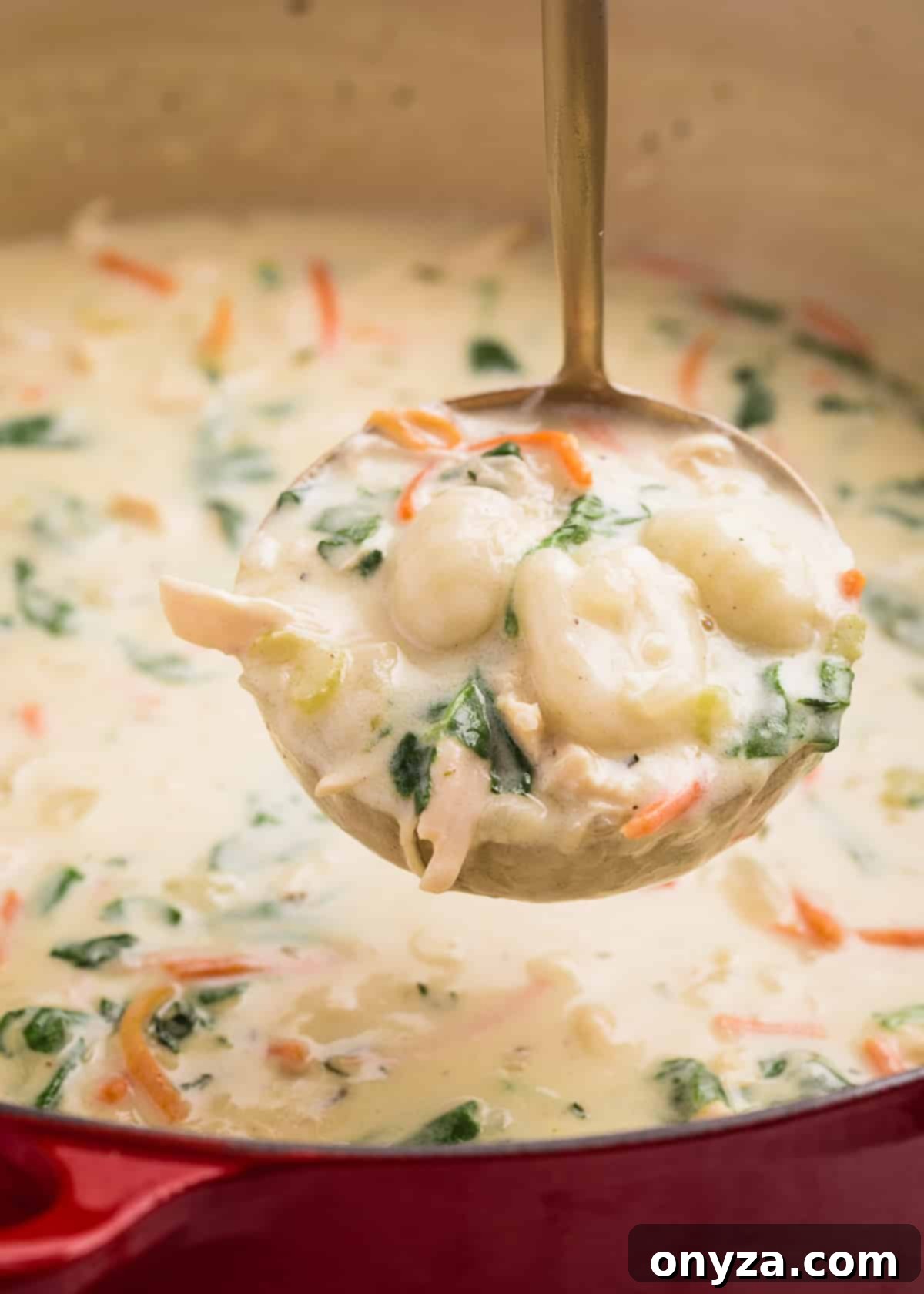 Hearty Chicken Gnocchi Comfort 12 ladleful of creamy chicken gnocchi soup being taken from a red enameled Dutch oven