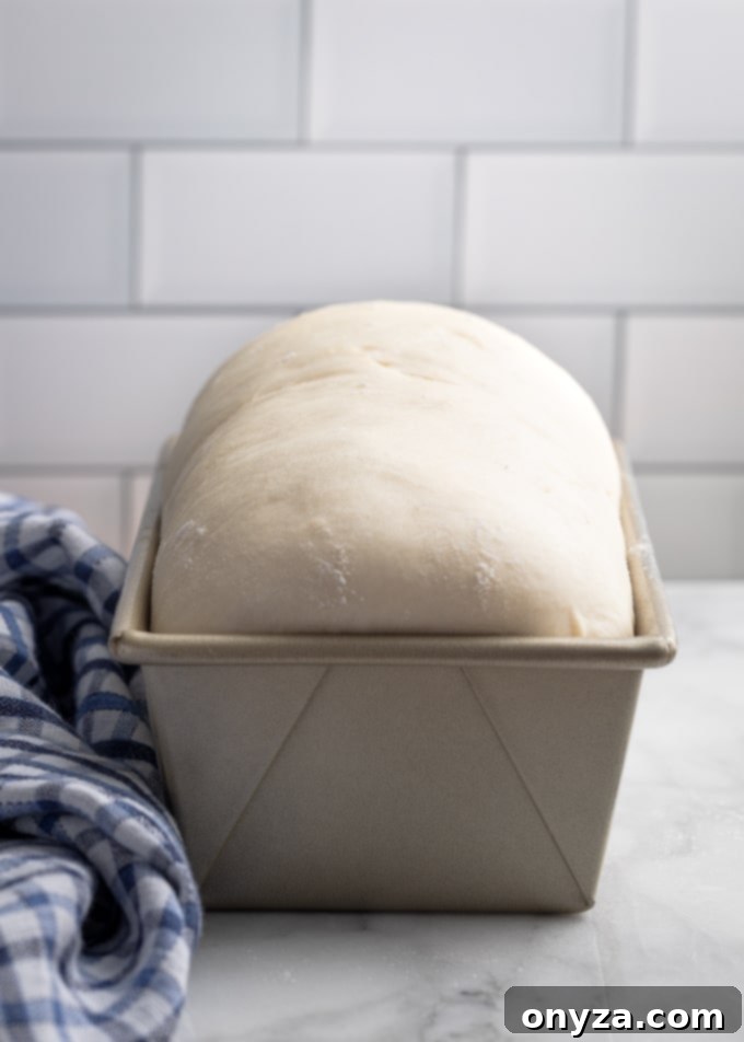the second rise on a loaf of homemade white bread