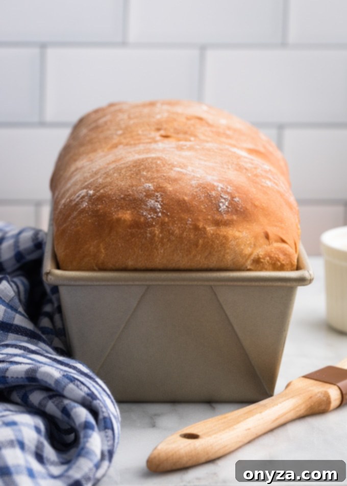 freshly-baked white bread in a loaf pan
