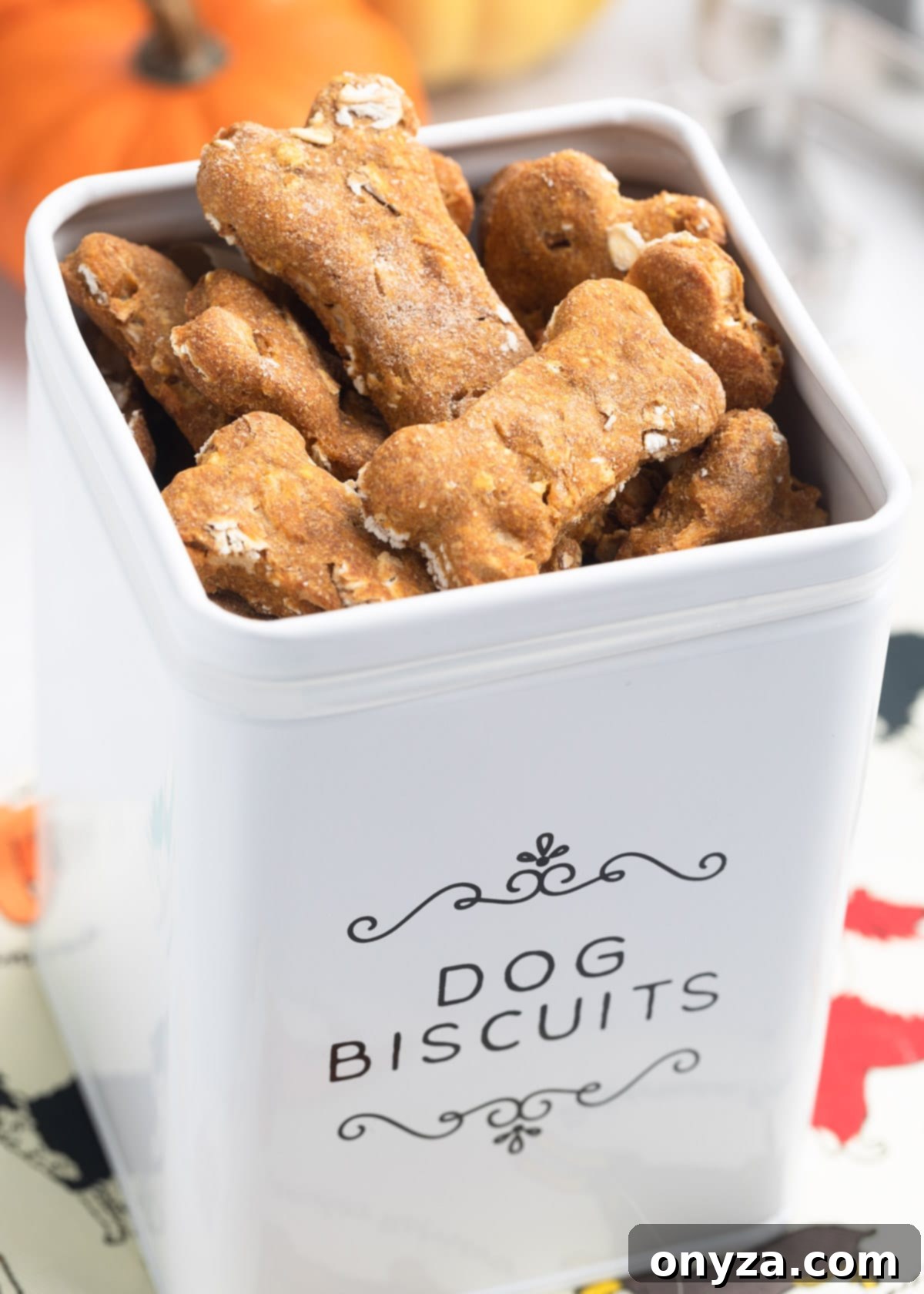 Wholesome Pumpkin Apple Oat Treats for Pups 2 Homemade pumpkin dog treats stored neatly in a white ceramic dog biscuit canister, ready for a happy pup to enjoy.