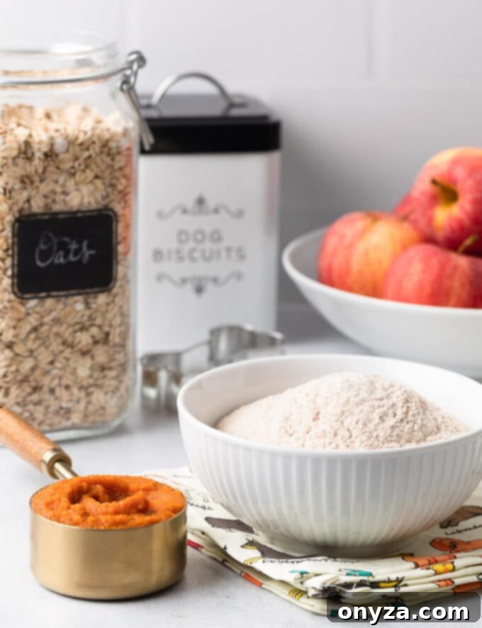 Wholesome Pumpkin Apple Oat Treats for Pups 4 A beautiful flat lay of ingredients for homemade dog treats: a can of pumpkin puree, a bag of whole wheat flour, fresh red apples, and a bowl of rolled oats on a clean white countertop.