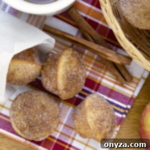 cider doughnut mini muffins recipe