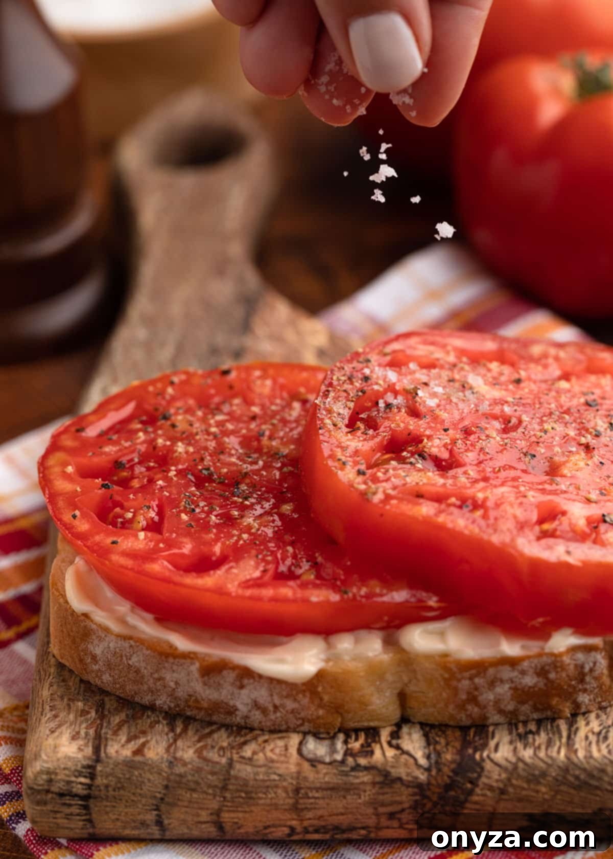 Sun-Kissed Southern Tomato Sandwich 6 Sprinkling salt onto thick tomato slices layered on white bread spread with mayonnaise
