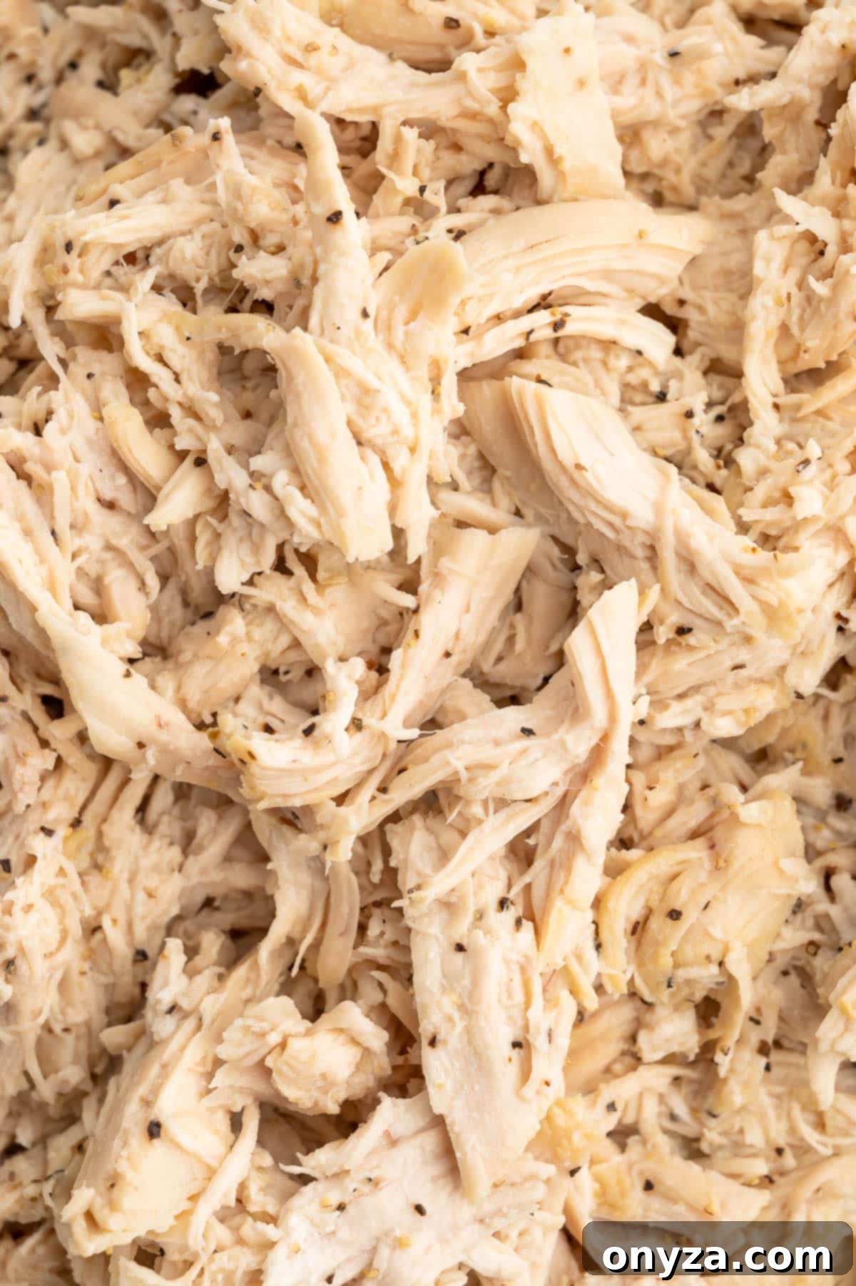 closeup of shredded chicken breast cooked in the Instant Pot