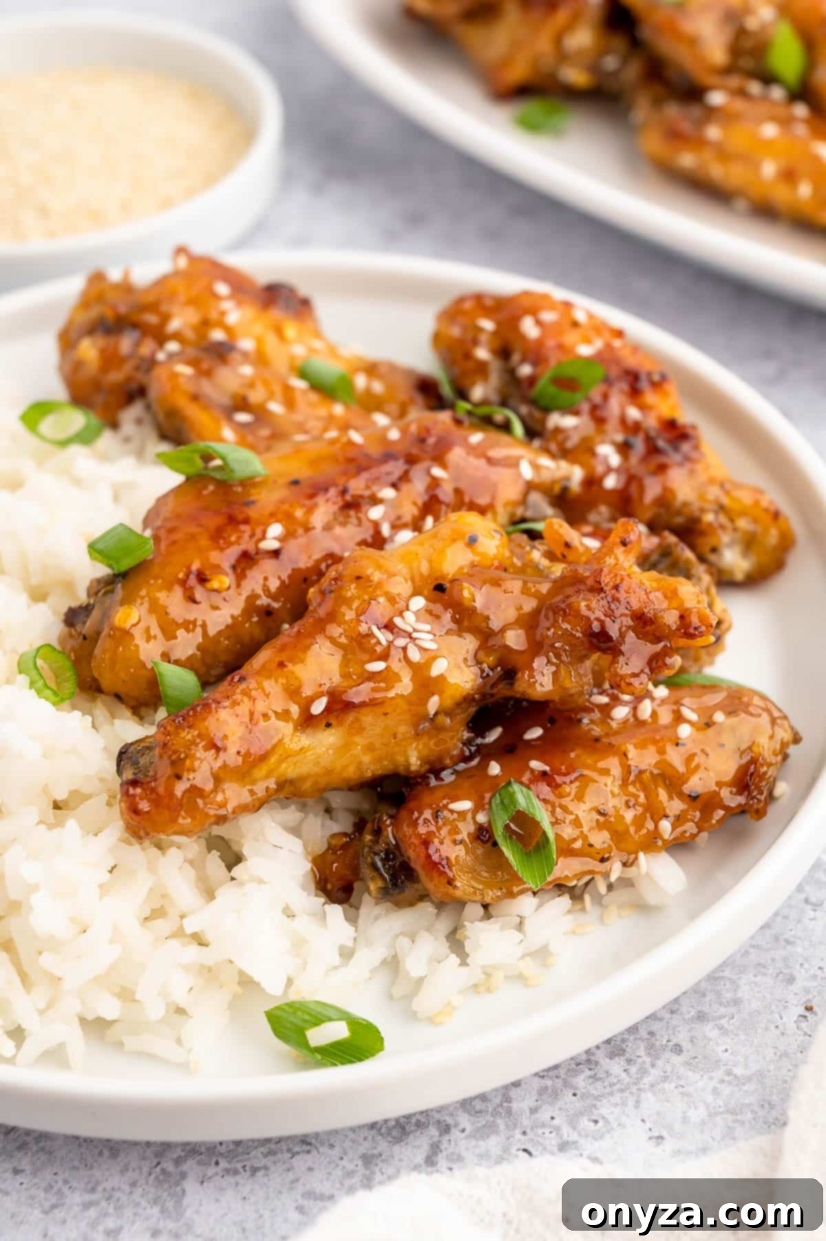 honey garlic chicken wings on a white plate with white rice