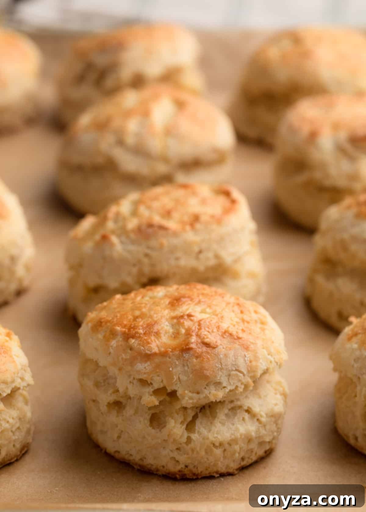 baked Irish scones on a parchment-lined baking sheet