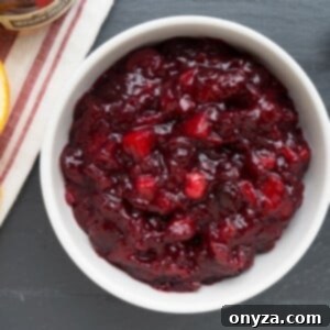 Orchard Citrus Cranberry Sauce 11 A beautifully presented bowl of homemade Apple Orange Cranberry Sauce, ready to be served, showcasing its rich texture and vibrant color. This image represents the final, delicious outcome of the recipe.