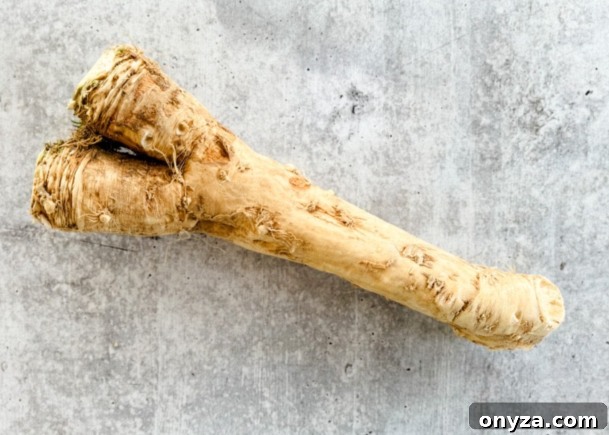 The Fiery Root 3 An overhead view of a single fresh horseradish root, displaying its rough, beige skin and tapered ends, resting on a gray board.
