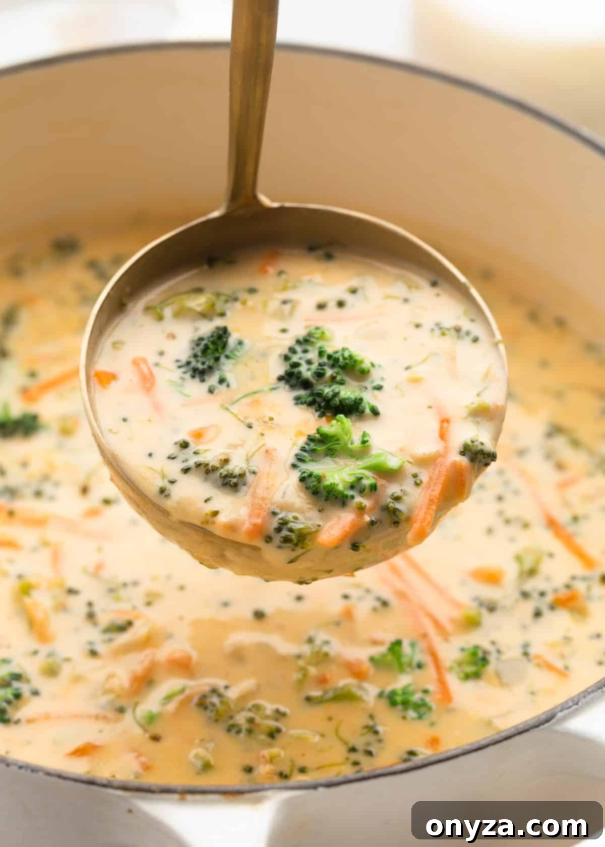 ladleful of broccoli cheddar soup being taken from a white enameled cast iron pot