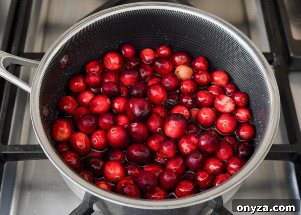 Whole fresh cranberries added to a saucepan with water and sugar, just beginning the cooking process.
