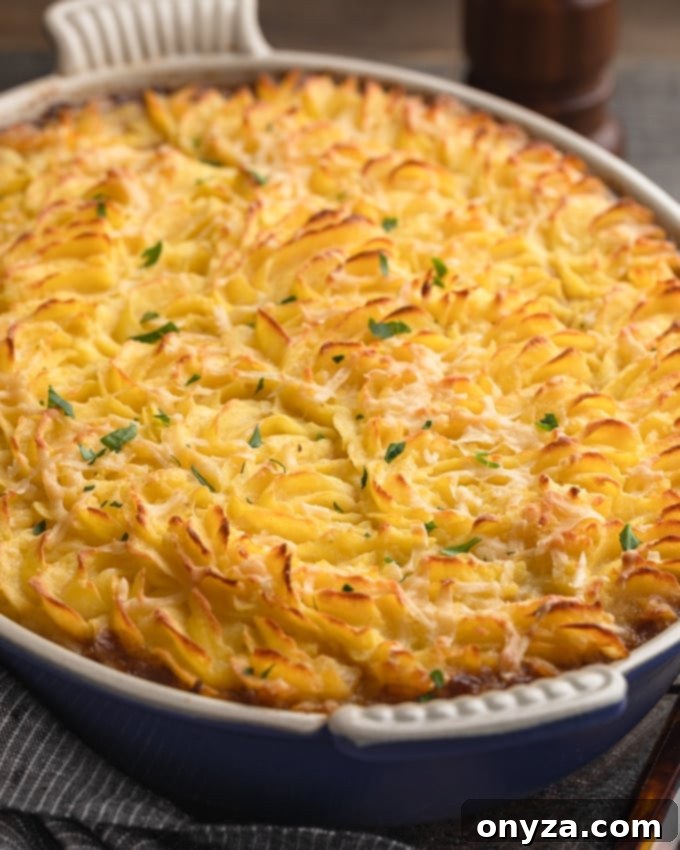 Baked Short Rib Cottage Pie with a golden brown Dubliner cheese potato topping, fresh out of the oven in a gratin dish