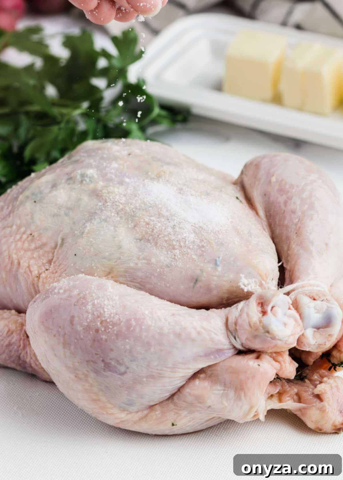 sprinkling kosher salt generously onto a raw whole chicken for seasoning