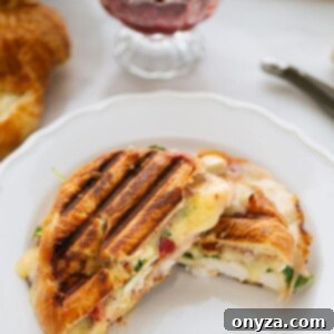 Turkey and Brie Croissant Panini with cranberry sauce, ready to serve