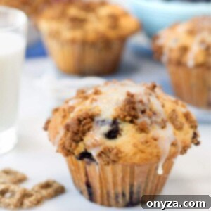 Delicious Blueberry Crunch Muffins with Cracklin' Oat Bran and streusel topping