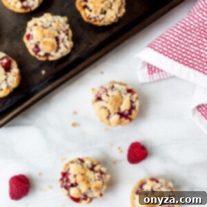 miniature apple raspberry pies recipe