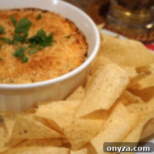 Hot Crab Salsa Dip