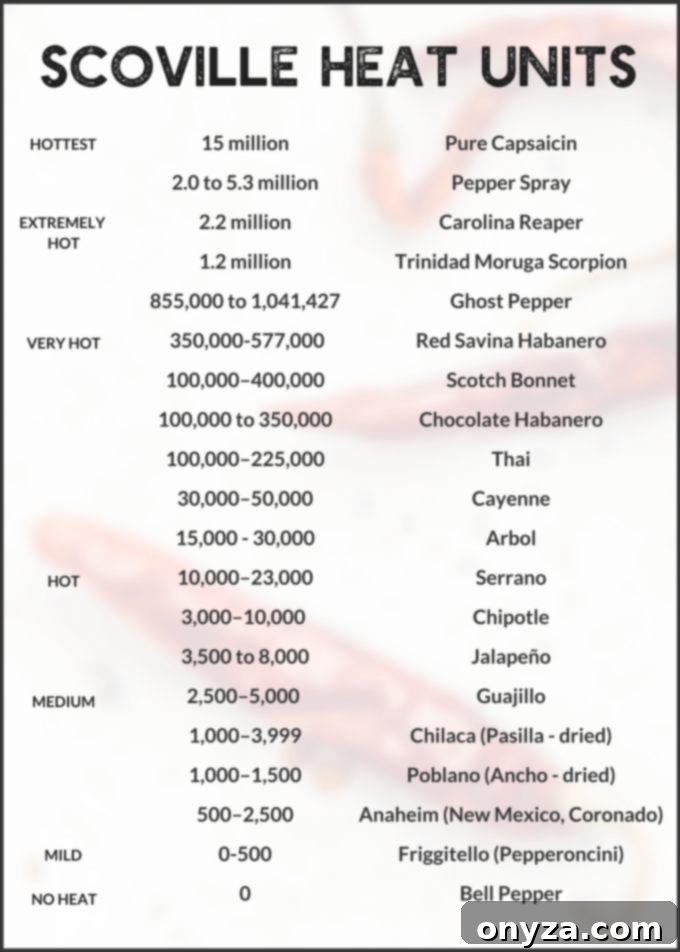 Fiery Homemade Dried Chili Paste 2 scoville heat scale chart for peppers